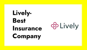 Lively the best insurance company in USA 2024