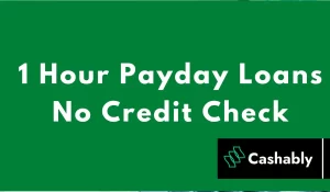 1 hour payday loans no credit check