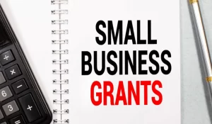 small business stabilization grant