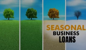 Business Loans for Seasonal Businesses