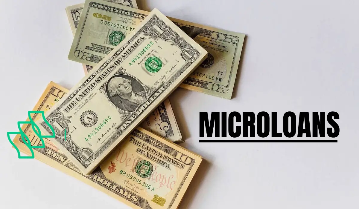 microloans for small businesses